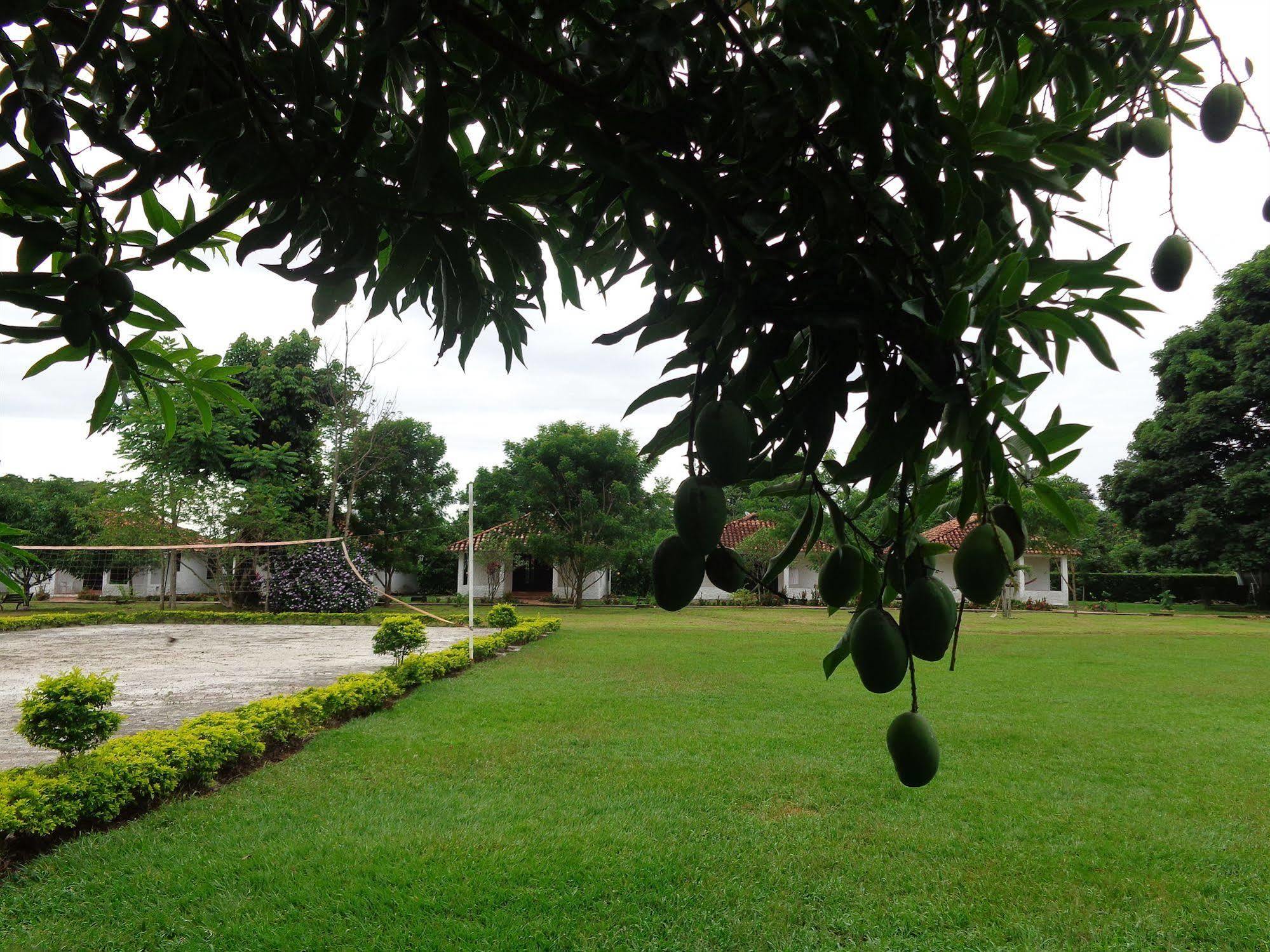 Hotel Campestre Arboretto Villavicencio Extérieur photo