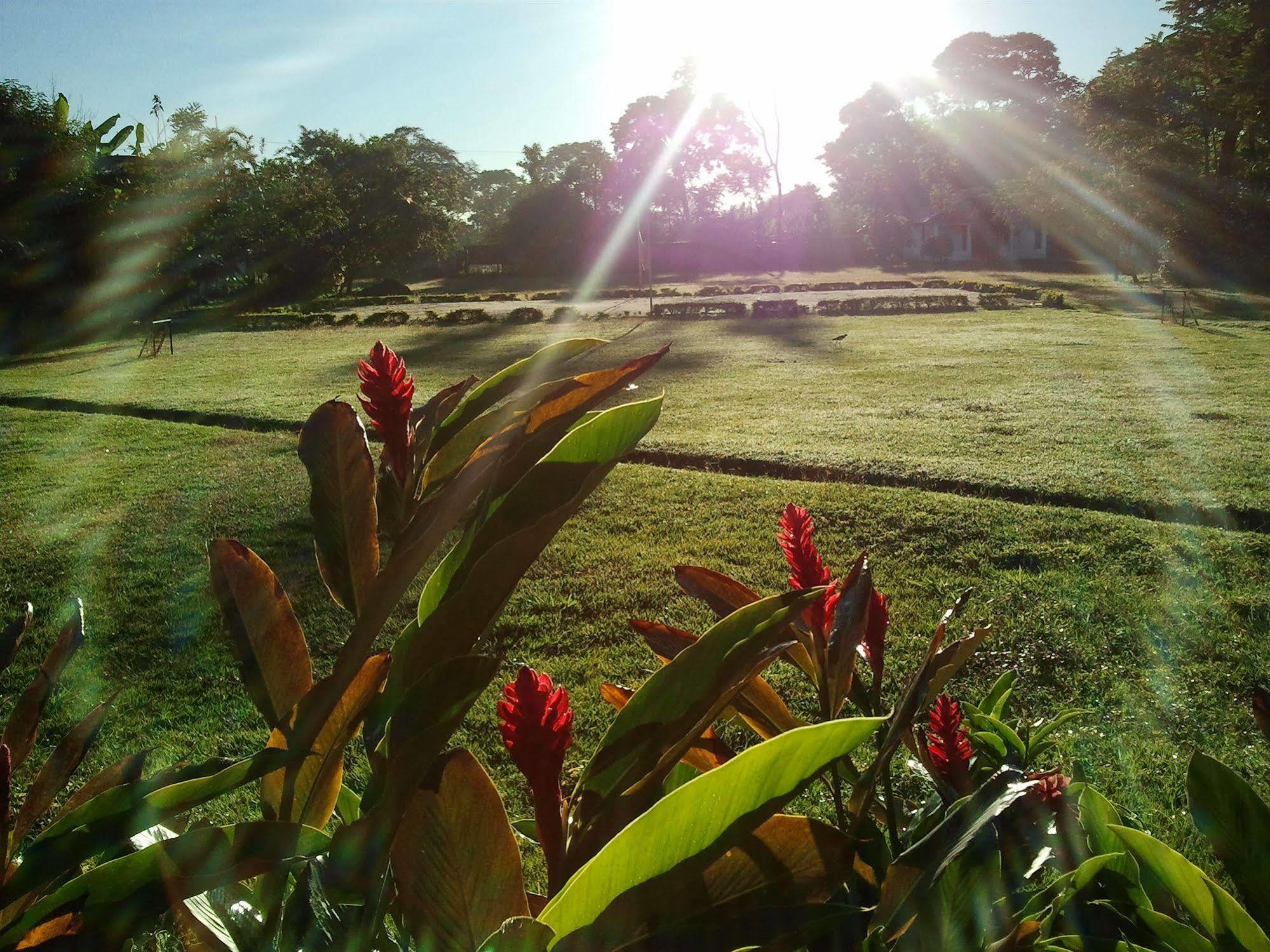 Hotel Campestre Arboretto Villavicencio Extérieur photo